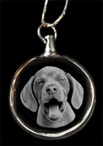 dog photo crystal necklace