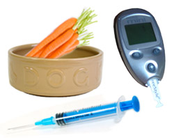 Controlling diabetes in dogs