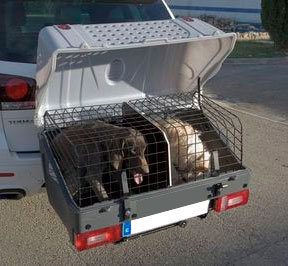 Ban towbar dog crates