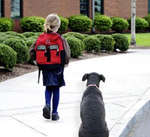 dogs abandoned as children go back to school