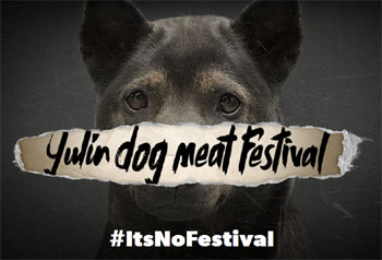 Yulin It's No Festival