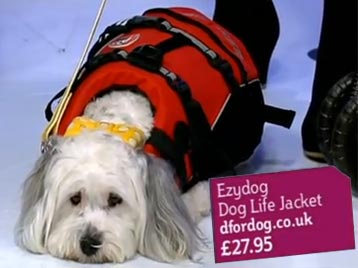 ITV This Morning Featured D for Dog Life Jacket