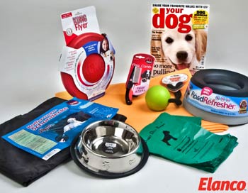 Win A Dog Health & Fitness Pack
