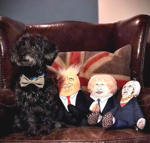Pet Hates Dog Toys - Donald Trump