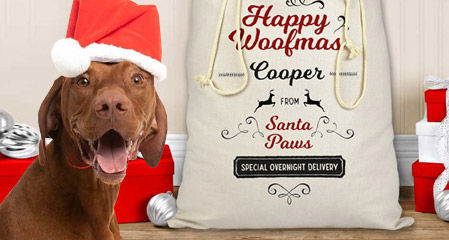 Christmas gifts for dogs