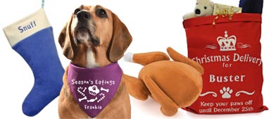 Dog Products, Accessories & Gifts | UK Online | D for Dog