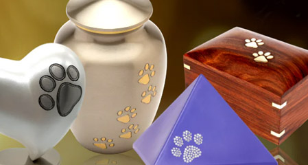 Choosing the Best Cremation Urn for Your Dog