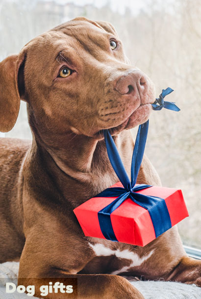 dog gifts