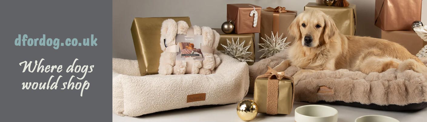 winter gifts for dogs