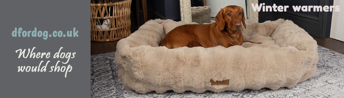 winter dog beds and blankets