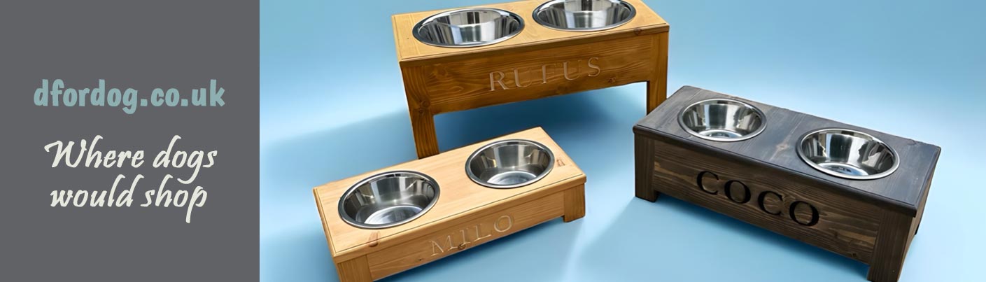 raised dog bowls and feeders