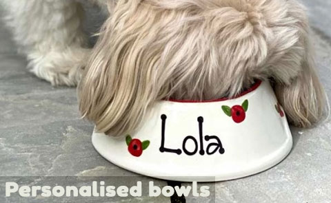 personalised dog bowls