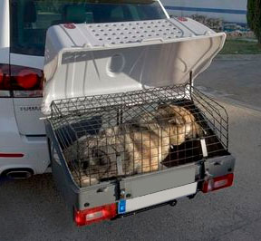 Ban Towbar Dog Carriers | Info 
