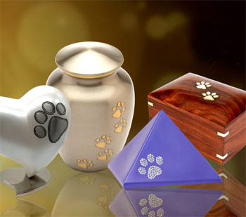 Choosing the Best Cremation Urn for Your Dog