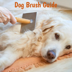 brush for wirehaired dogs