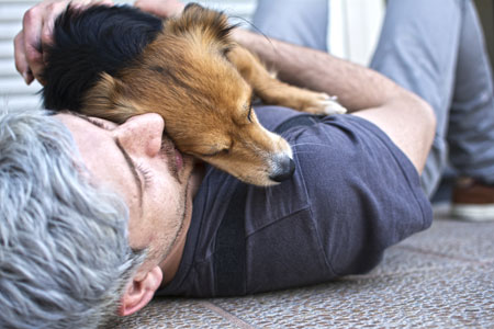 having your dog put to sleep and when is the right time for pet euthanasia