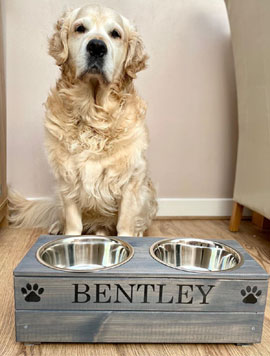 20 Elevated Dog Bowls That Are Actually Really Cute