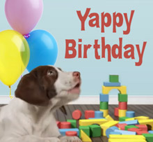 funny happy birthday dog