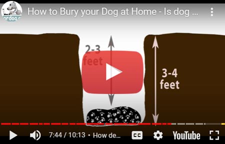 Burying Your Dog at Home - ViDeo Thumb Blog Burial