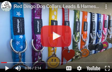 Pet Supplies : Red Dingo Designer Cat Collar, Cosmos Dark Blue : Pet Collars  