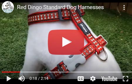 Red Dingo Designer Dog Harness, Medium, Cosmos Dark Blue
