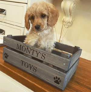personalised wooden dog toy box