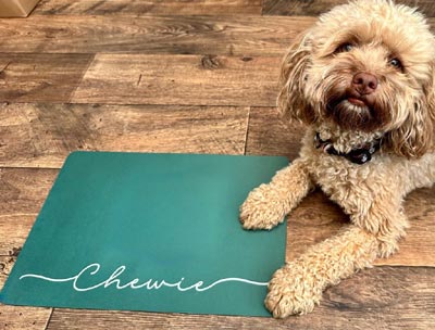 Personalised dog feeding mat