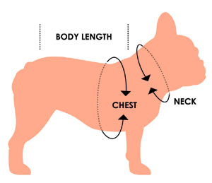 Dog garment measurements