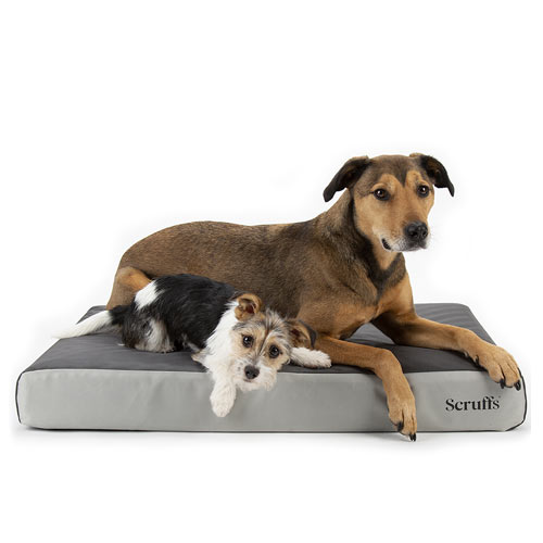 ArmourDillo Orthopaedic Dog Bed