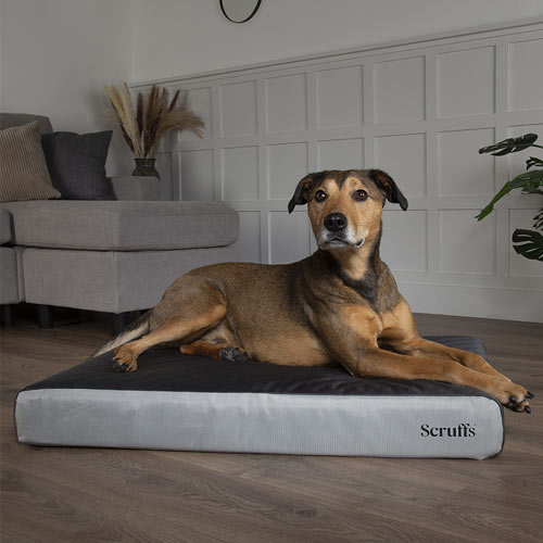 ArmourDillo Orthopaedic Dog Bed