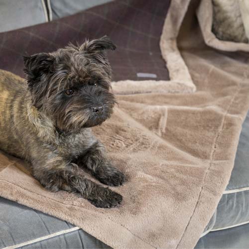 Tweed & Plush Dog Blanket