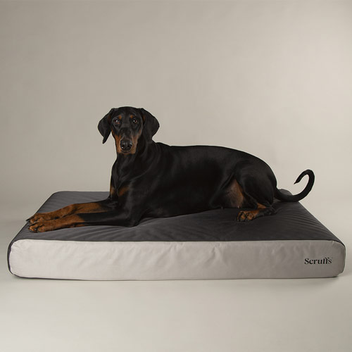 ArmourDillo Orthopaedic Dog Bed