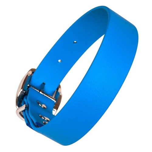 Biothane Waterproof Dog Collar - Blue