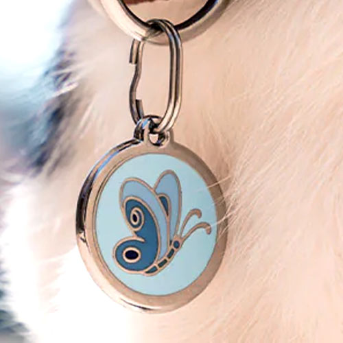 Large Dog ID Tag - Butterfly