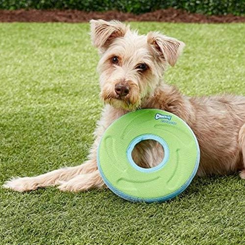 Chuckit Zipflight Dog Frisbee