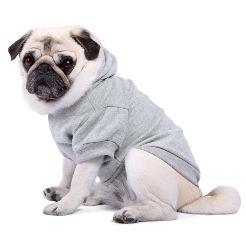 Classic Plain Dog Hoodie