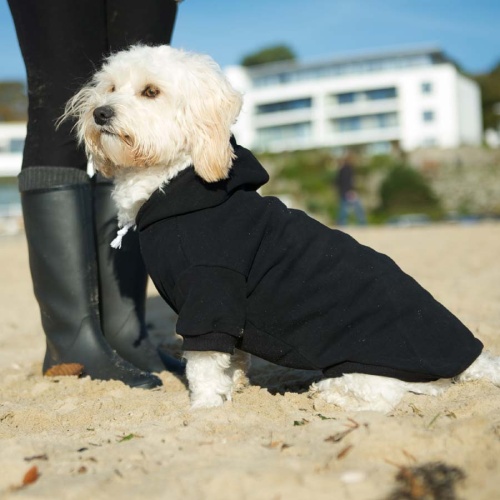 Plain black dog shirt hotsell