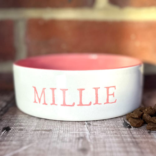 Personalised Dog Bowl - Colour Pop