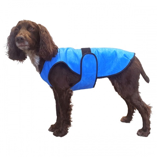 ThermLOW Dog Cooling Coat | Foam Cool Vest | UK