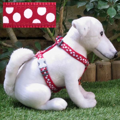 White Spots on Red Dog Harness | Red Dingo