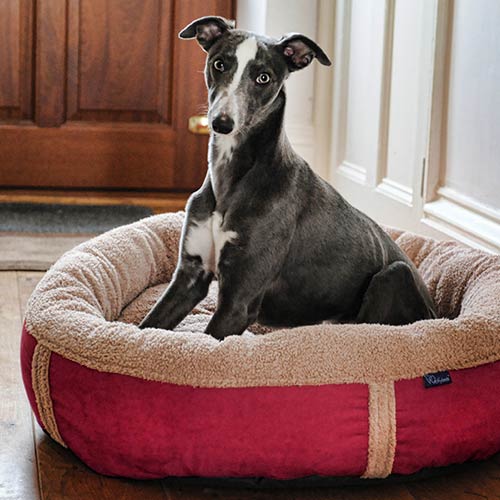 Wraparound Donut Dog Bed