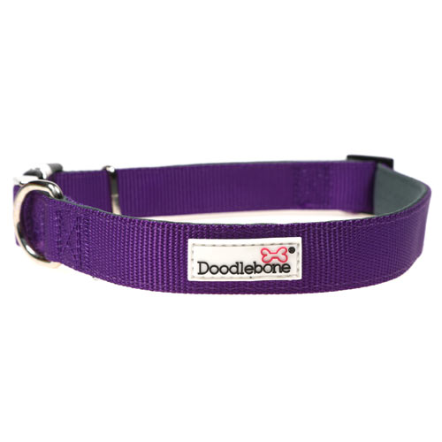 Doodlebone clearance padded collar