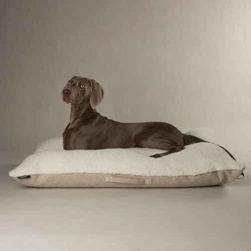 Scruffs Eden Recycled Eco Dog Cushion