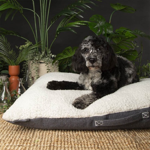 Scruffs Eden Recycled Eco Dog Cushion