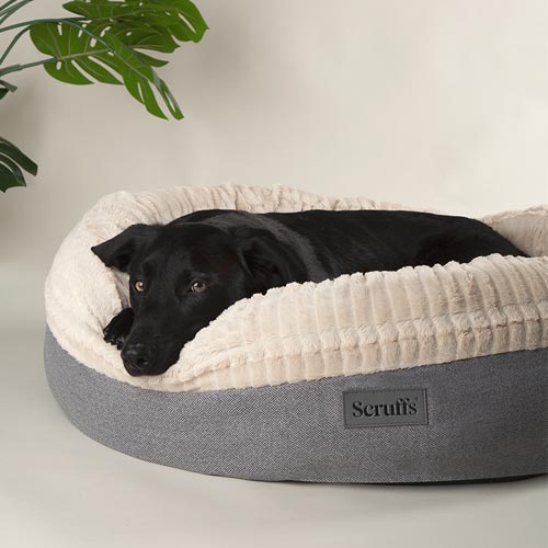 Ellen Light Grey Donut Dog Bed