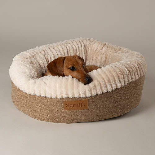 Ellen Tan Donut Dog Bed