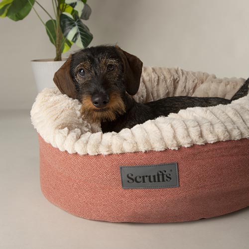 Ellen Terracotta Donut Dog Bed