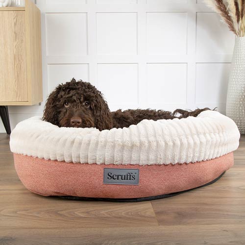 Ellen Terracotta Donut Dog Bed