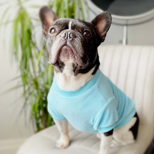 Fleece Dog Sweatshirt