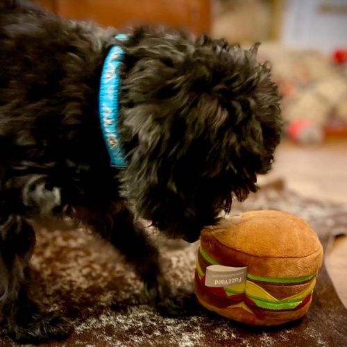 FuzzYard Dog Toy - Hamburger